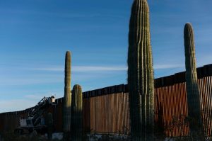 Read more about the article Native American tribe says Pentagon failed to consult on border wall construction