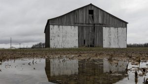 Read more about the article Midwest farmers face a crisis. Hundreds are dying by suicide.