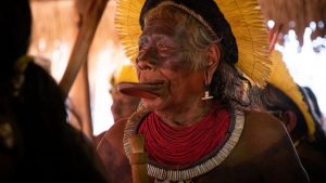 Read more about the article Isolated indigenous tribes risk extinction from coronavirus, experts say