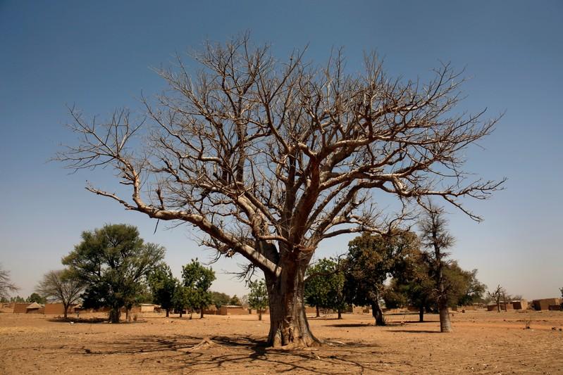 You are currently viewing Ethnic clashes kill 13 in Burkina Faso as security worsens