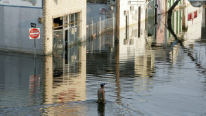 Read more about the article Millions of Americans think they’re safe from flood waters. They aren’t.
