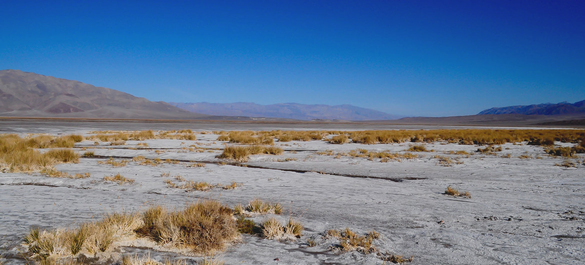 Death Valley temperature, likely highest since 1931: UN ...