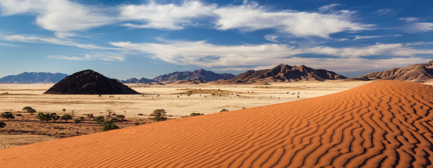 You are currently viewing Survival of wildlife reserves under threat in Namibia