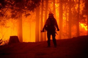 Read more about the article ‘This is Crazy.’ A Record 2 Million Acres of California Have Burned This Year With Heat Conditions Predicted to Continue
