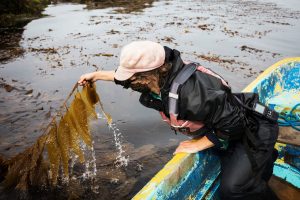 Read more about the article The Ocean Farmers Trying to Save the World With Seaweed