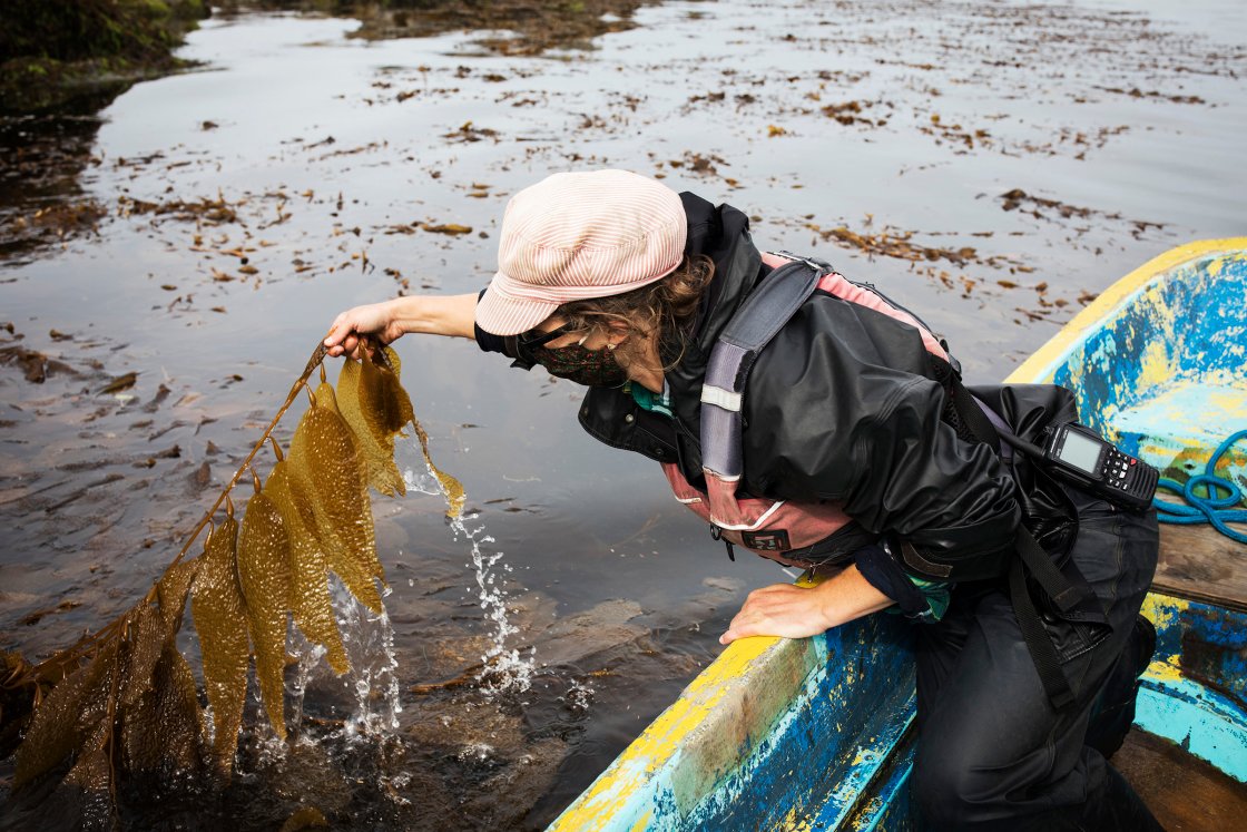 You are currently viewing The Ocean Farmers Trying to Save the World With Seaweed