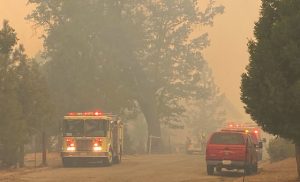 Read more about the article Climate change: Record northern heat, fuels concerns over US wildfire destruction