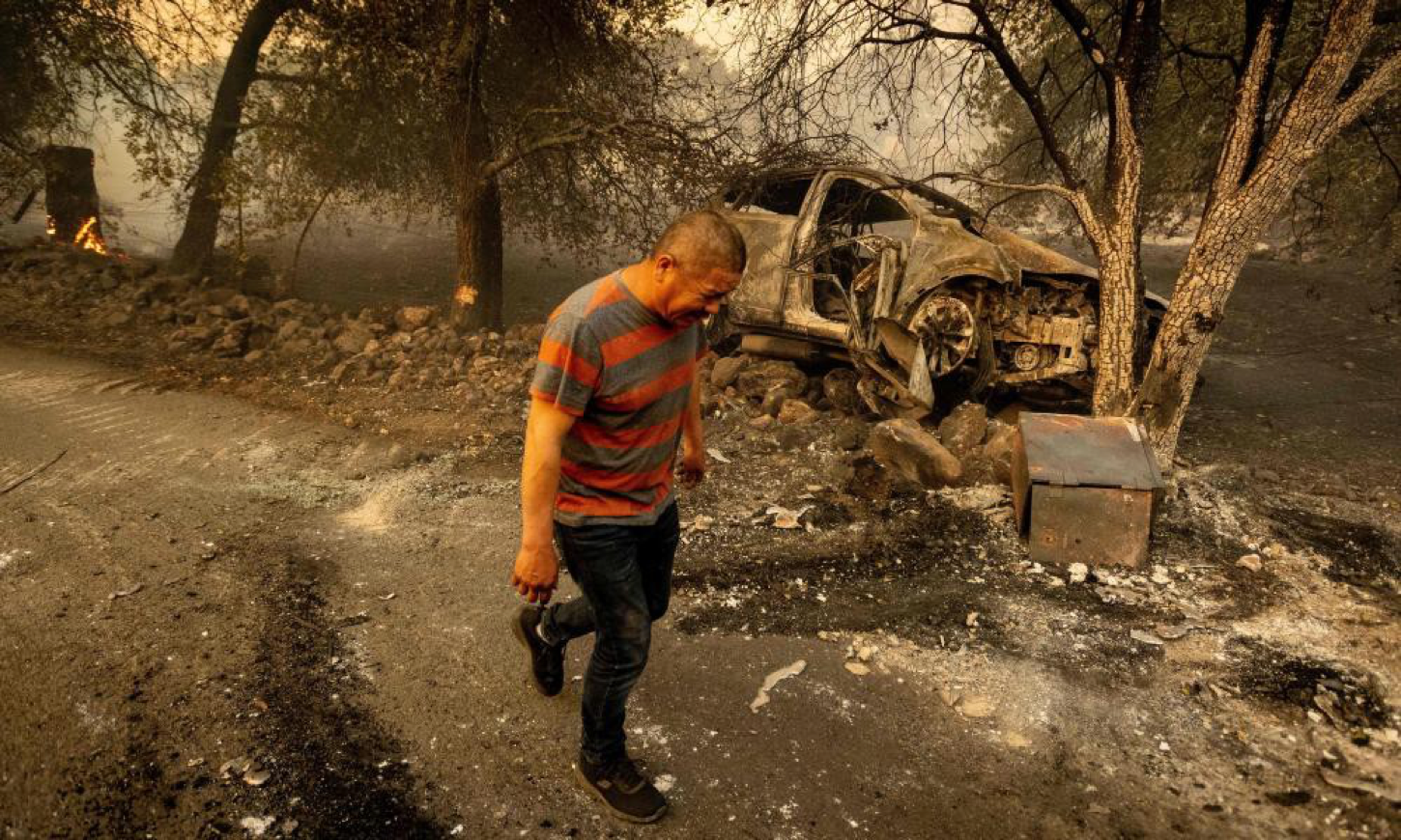 You are currently viewing ‘There’s a lot of hurt’: four years of fire take toll on California’s wine country