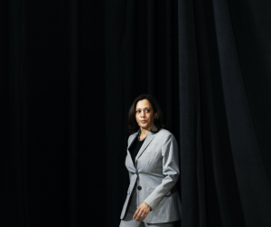 Read more about the article Race, gender dominated coverage of Harris’s VP announcement, report finds