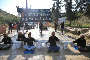 Read more about the article Dozens Protest Israeli Construction in Unique West Bank Ecosystem