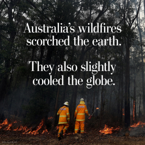 Read more about the article Australia’s wildfires scorched the earth.
