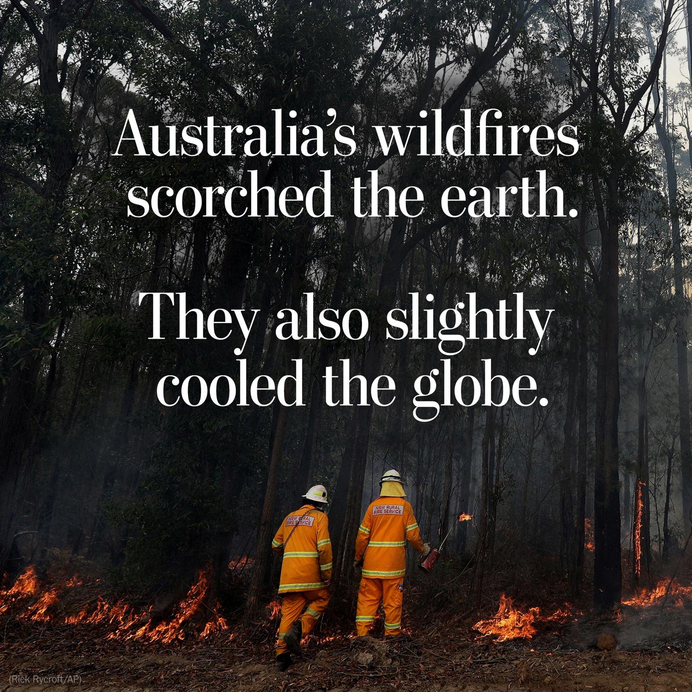 You are currently viewing Australia’s wildfires scorched the earth.