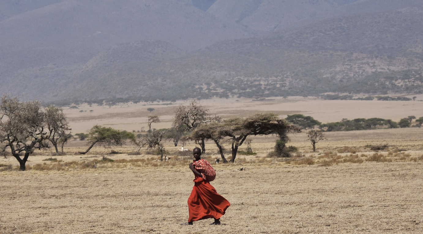 You are currently viewing The Kenyan Maasai Who Once Hunted Lions Are Now Their Saviors