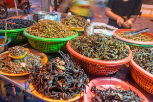 Read more about the article Why aren’t we all eating insects?