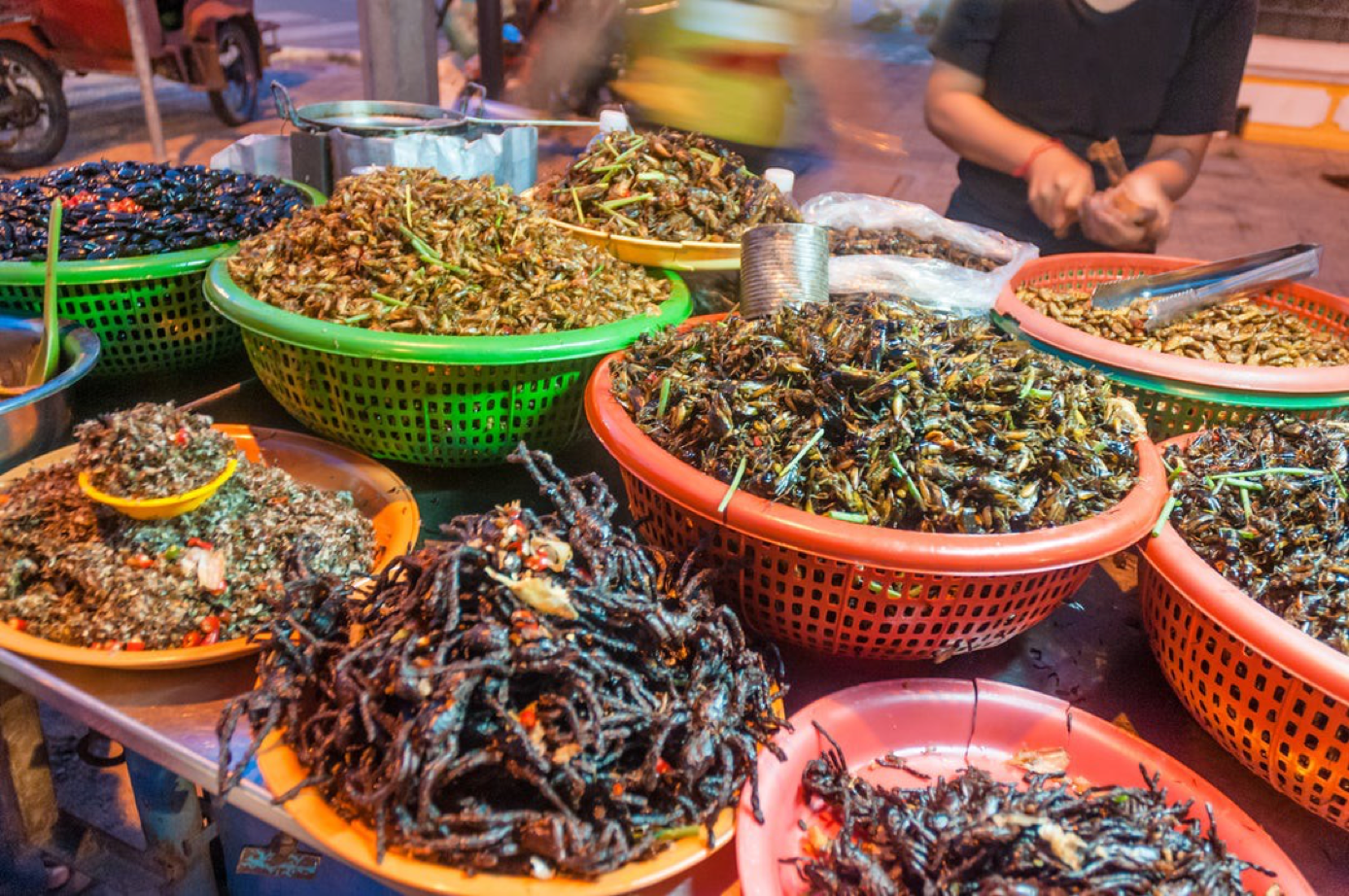 You are currently viewing Why aren’t we all eating insects?