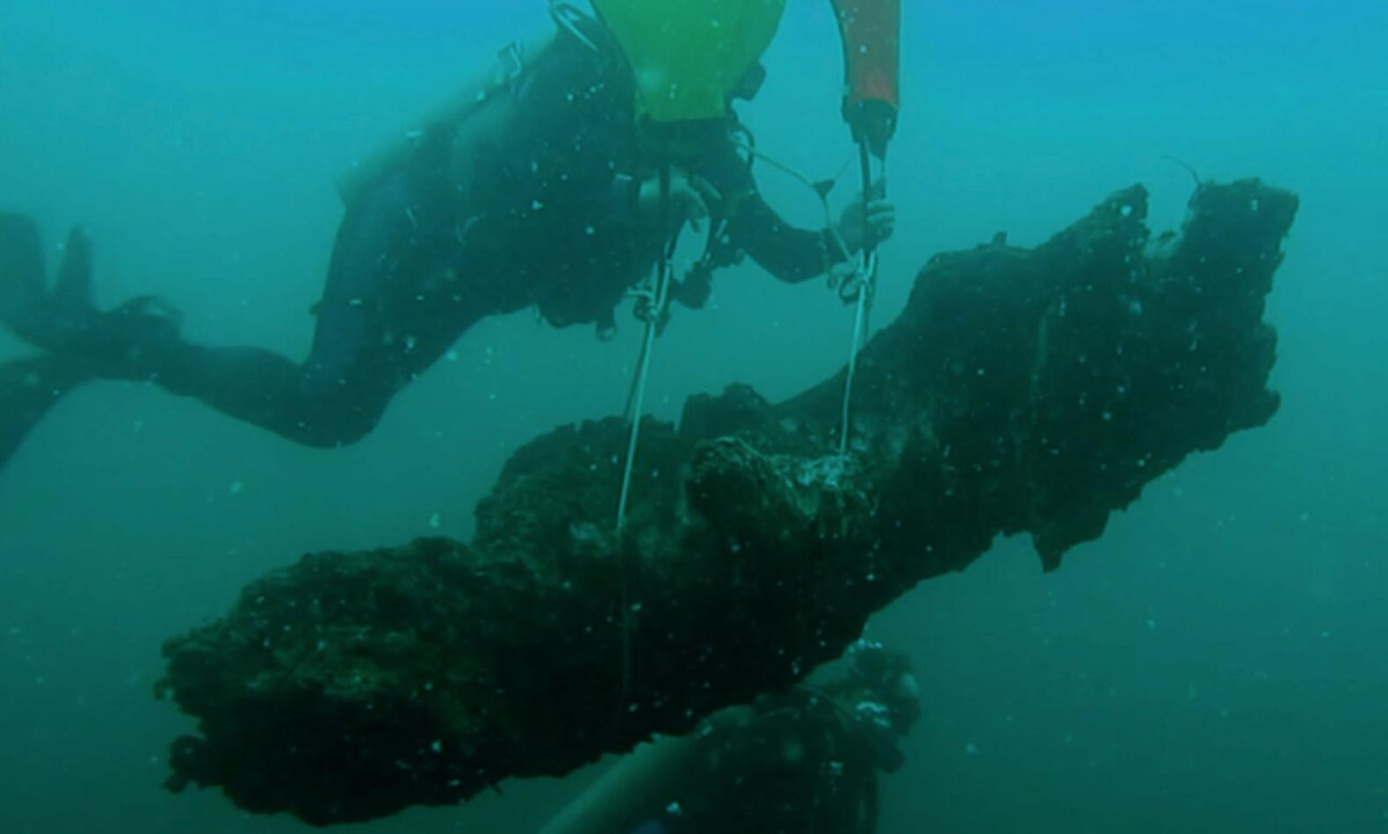 You are currently viewing ‘One of a kind’: calls to protect Alabama’s 60,000-year-old underwater forest