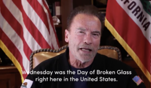 Read more about the article Schwarzenegger invokes Nazi Germany in powerful video denouncing Capitol Hill riot