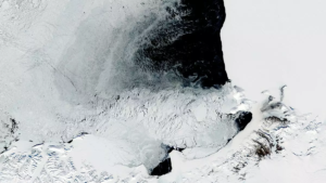 Read more about the article Experts Made An Eye-Opening Discovery About The Giant Holes That Keep Appearing In Antarctica’s Ice