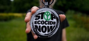 Read more about the article From Harm to Harmony: Ecocide through the lens of Indigenous sovereignty (2021)