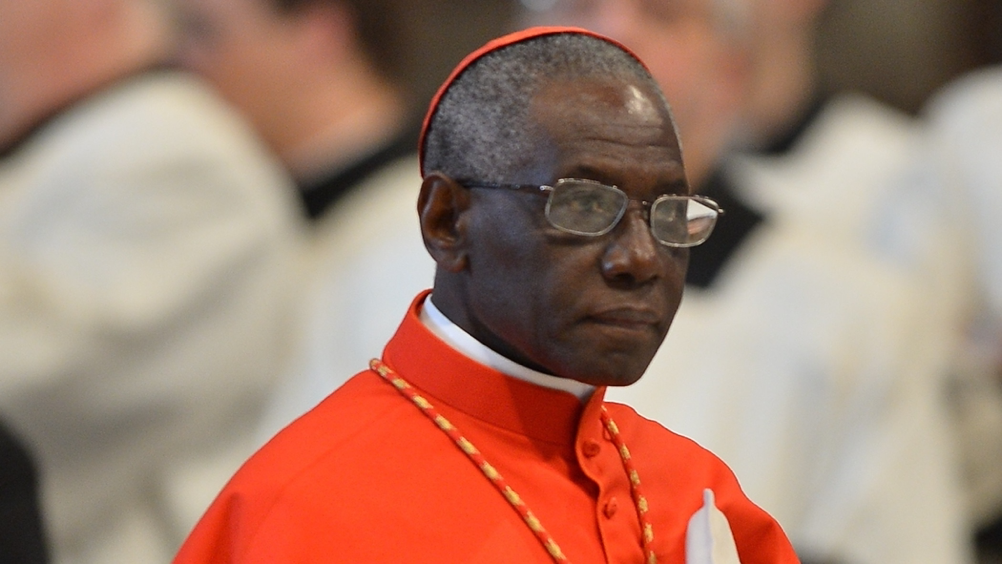 You are currently viewing Pope Francis Accepts Resignation Of Conservative African Cardinal