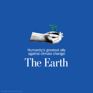 Read more about the article The Earth