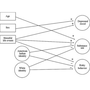 Read more about the article Culture and Context: Buffering the Relationship Between Stressful Life Events and Risky Behaviors in American Indian Youth