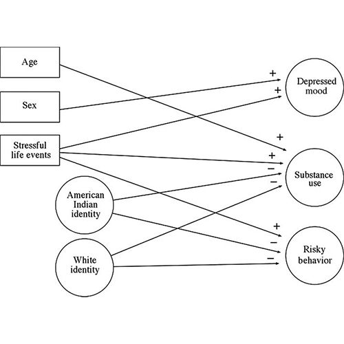 You are currently viewing Culture and Context: Buffering the Relationship Between Stressful Life Events and Risky Behaviors in American Indian Youth