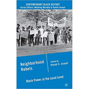 Read more about the article Neighborhood Rebels: Black Power at the Local Level