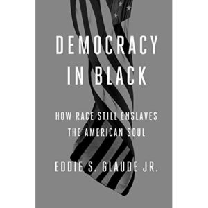 Read more about the article Democracy in Black: How Race Still Enslaves the American Soul