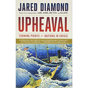 Read more about the article Upheaval: Turning Points for Nations in Crisis