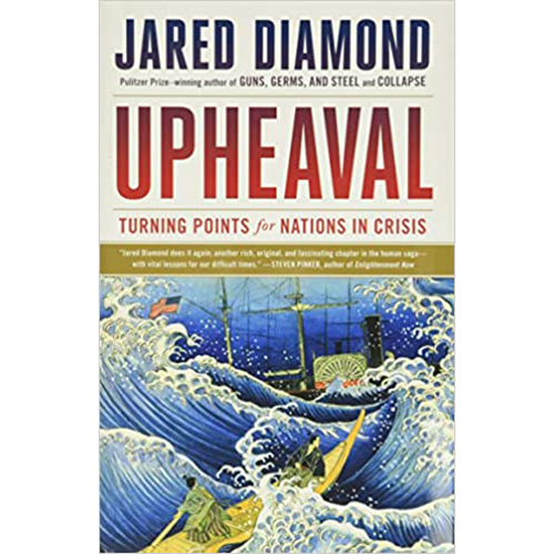 You are currently viewing Upheaval: Turning Points for Nations in Crisis