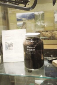 Read more about the article Museum to unveil Tucker memorial on Juneteenth