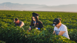 Read more about the article California graduate honors immigrant parents with senior photo shoot in strawberry fields
