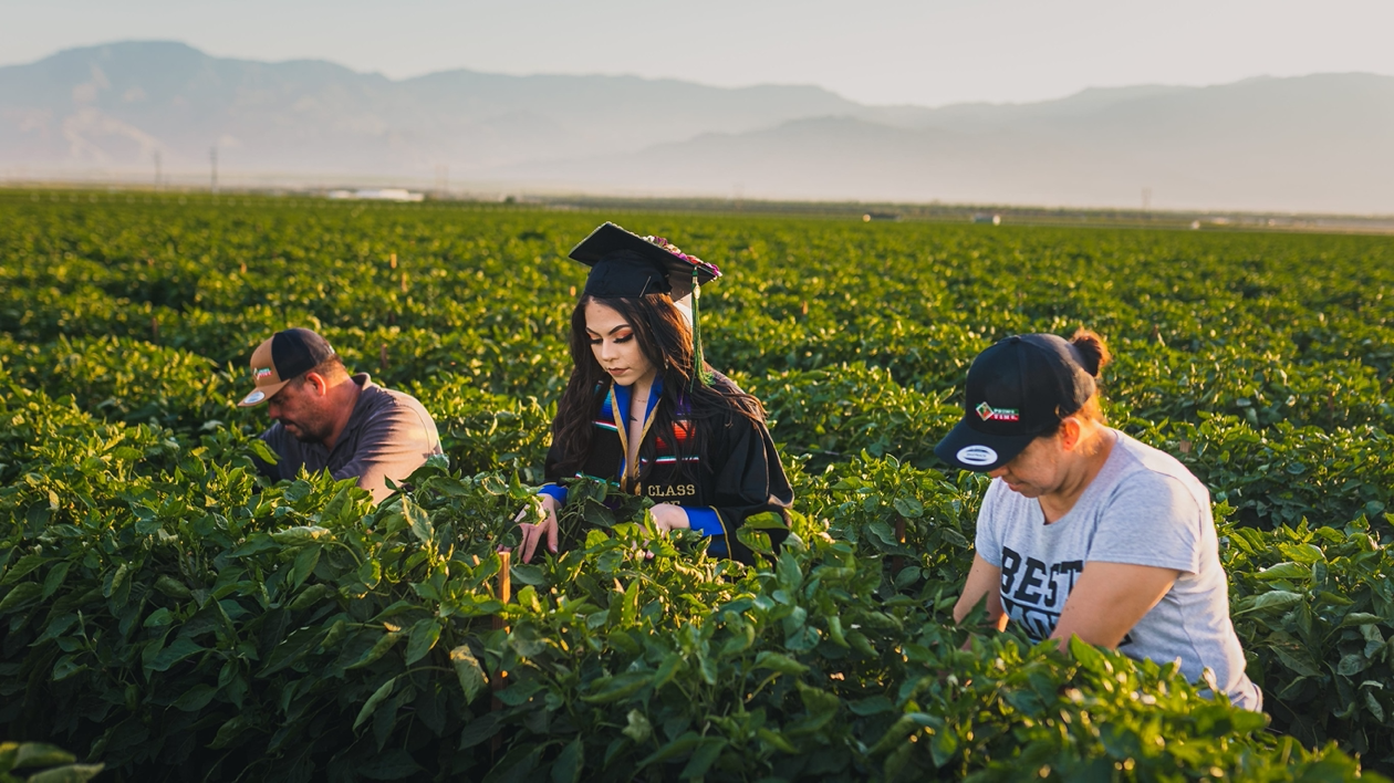 You are currently viewing California graduate honors immigrant parents with senior photo shoot in strawberry fields