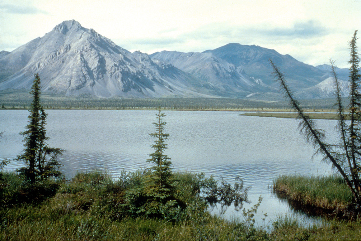 You are currently viewing Biden freezes oil leases in Alaska refuge pending new environmental review