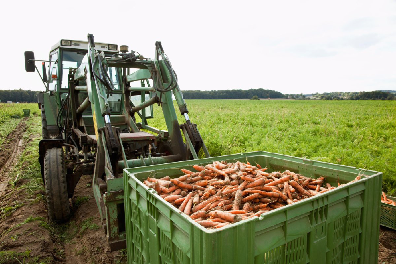 You are currently viewing The Food System’s Carbon Footprint Has Been Vastly Underestimated