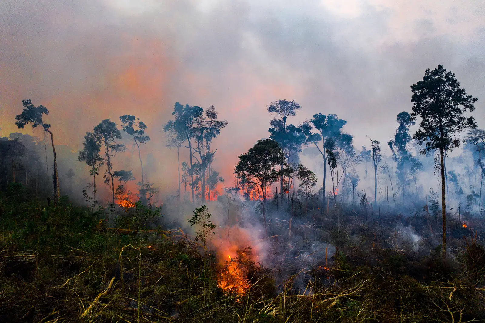 You are currently viewing Terrified of Climate Change? You Might Have Eco-Anxiety