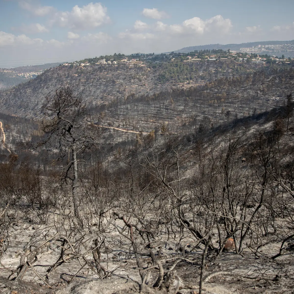 You are currently viewing Analysis | One Thing Missing From Israel’s Exhaustive Climate Change Report