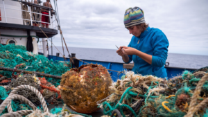 Read more about the article A giant patch of garbage in the ocean is home to a thriving new community. Scientists call it a ‘floating plastic habitat.’
