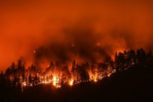 Read more about the article Fanning The Flames: Indigenous Rights To Cultural Fires Reinstated In California