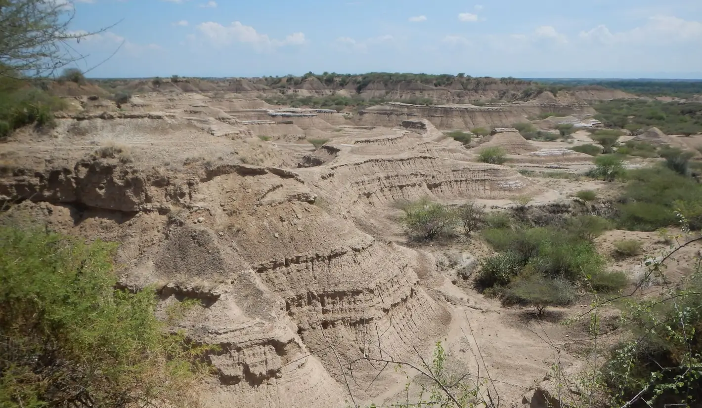 You are currently viewing Early Homo Sapiens Found in Ethiopia Is Older Than Had Been Thought