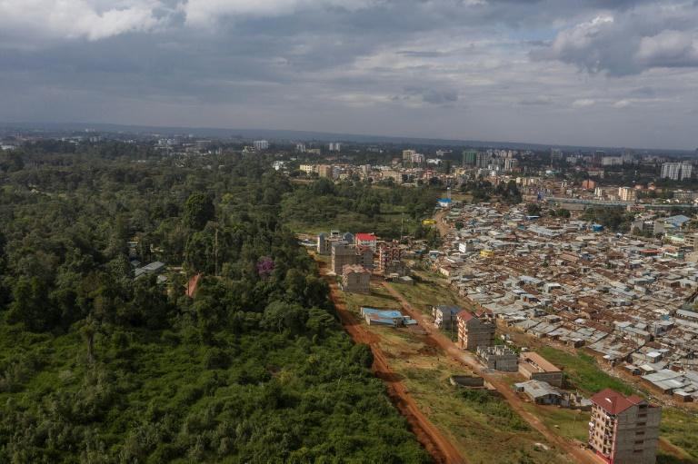 You are currently viewing Kenya under fire over calls to ‘weaken’ forest protections