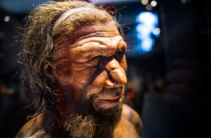 Read more about the article The Mediterranean Plains Where Neanderthals and Modern Humans Came Together