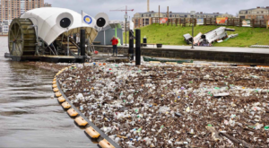 Read more about the article Oops, cleaning the Great Pacific Garbage Patch was probably a bad idea