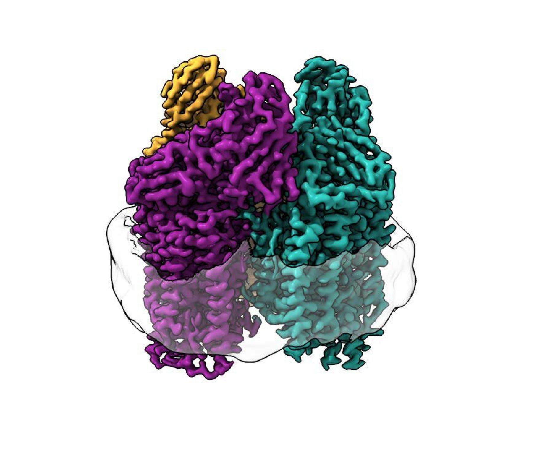 You are currently viewing Methane-eating bacteria convert greenhouse gas to fuel