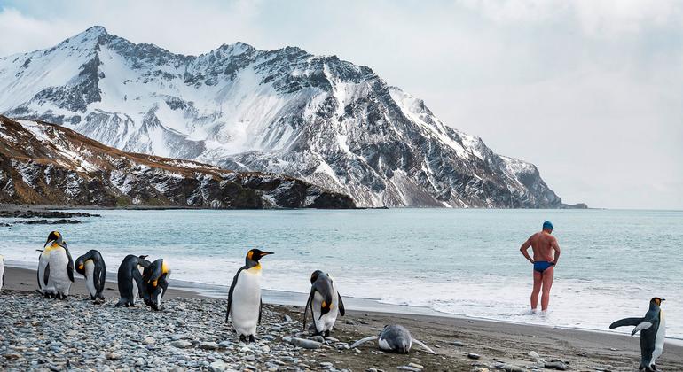 You are currently viewing Push for ‘more caring, thoughtful’ relationship with nature: UN chief