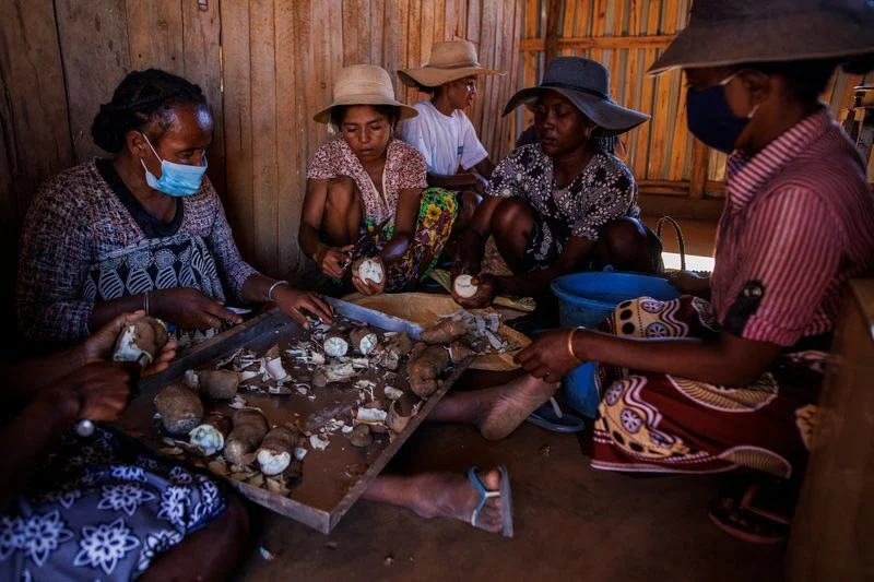 You are currently viewing A green island turns red: Madagascans struggle through long drought