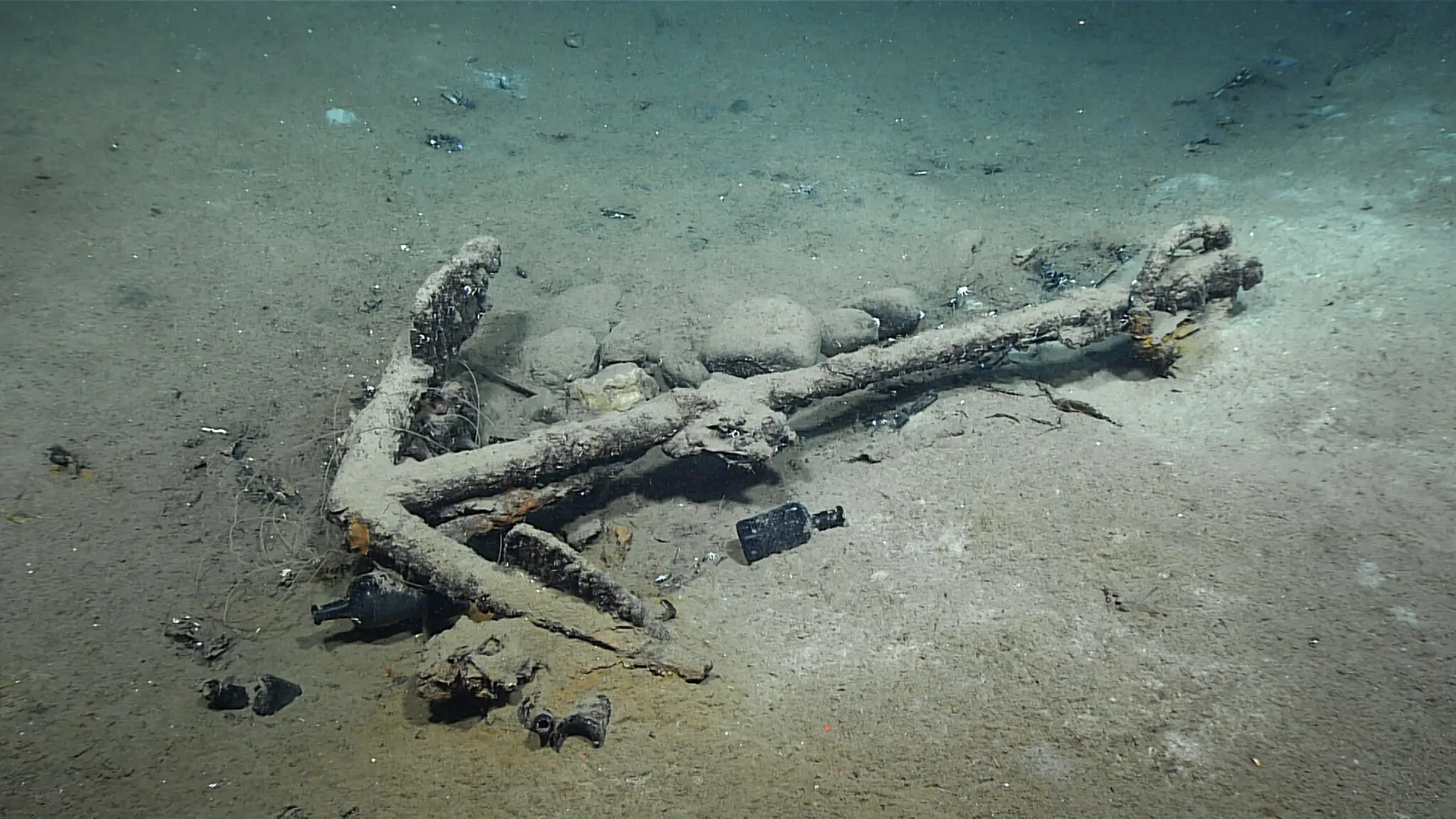 You are currently viewing The Wreck of an 1830s Whaler Offers a Glimpse of America’s Racial History