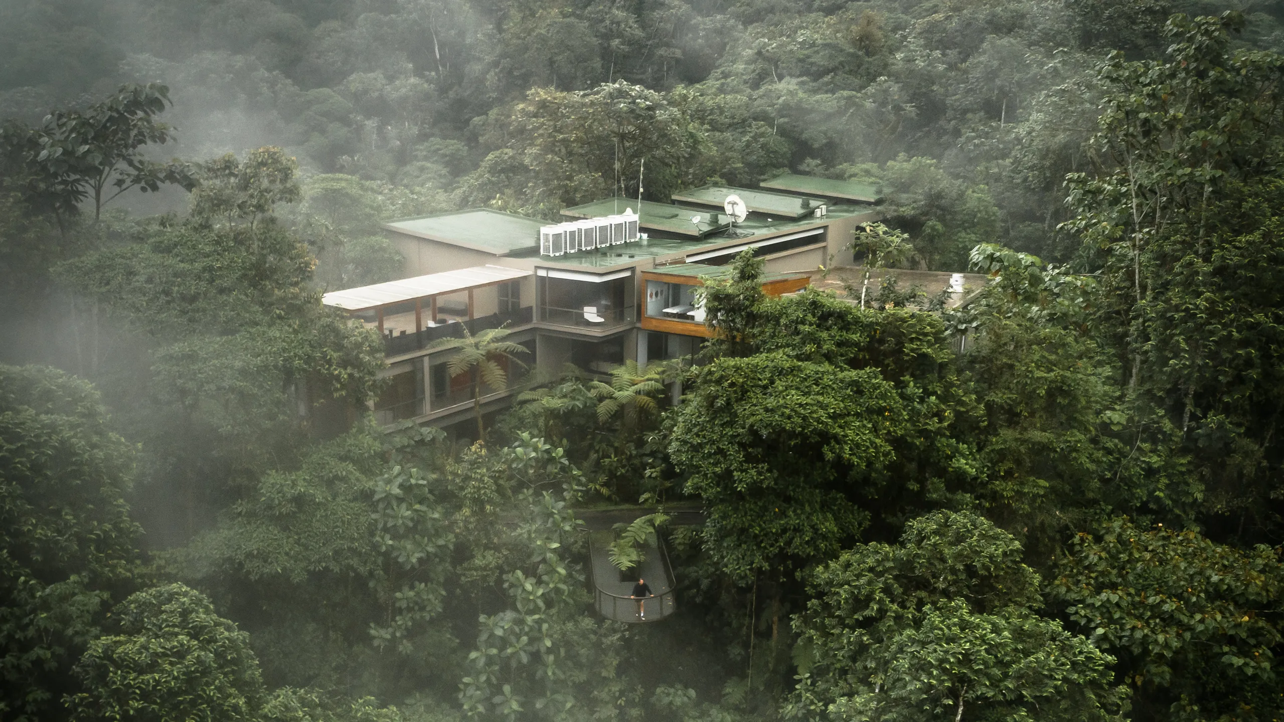 You are currently viewing ￼ UNESCO World Heritage Status Could Soon Be Given to the Sounds of Ecuador’s Cloud Forest