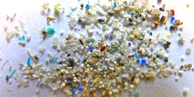 You are currently viewing Microplastics are in our bodies. How much do they harm us?